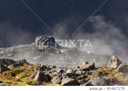 Geyser in Greenland at summer time Geyser in Greenland at summer time 95467170