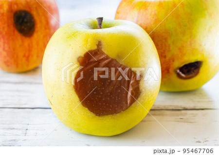 台風で傷ついたりんご 台風で傷ついたりんご 95467706