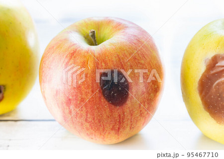 傷ありリンゴ 95467710