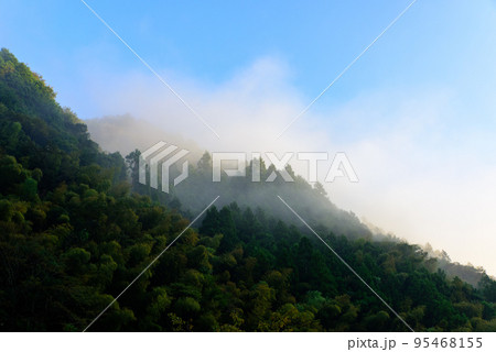朝霧に包まれる山の景色 朝霧に包まれる山の景色 95468155