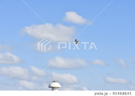 sky blue sky cloud scenery clear airplane 95468645
