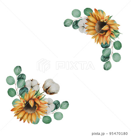 Frame with cotton flowers, eucalyptus branches and sunflower watercolor 95470180