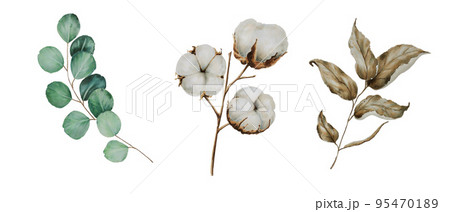 Composition with cotton, eucalyptus and leaf Composition with cotton, eucalyptus and leaf 95470189
