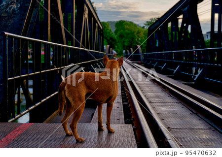 クウェー橋 (YOKOGAWA BRIDGE WORKS, 横河橋梁製作所)  95470632