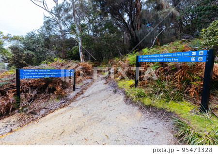 Freycinet Peninsula Circuit in Tasmania Australia Freycinet Peninsula Circuit in Tasmania Australia 95471328