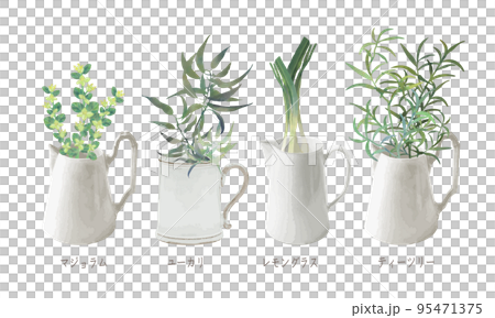 ピッチャー入った芳香植物・精油&アロマ・マジョラム・ユーカリ・レモングラス・ティーツリー ピッチャー入った芳香植物・精油&アロマ・マジョラム・ユーカリ・レモングラス・ティーツリー 95471375