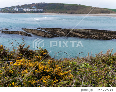 Dense coastal bushes. View of Clonakilty Bay. Sea rocks. A picturesque place in Europe, rock formation near body of water. The nature of Ireland. 95472534