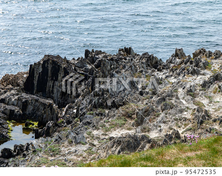 Rocks and grass on the seashore on a sunny day. Seaside landscape. Picturesque coast. Black rock formation and green grass near body of water. 95472535