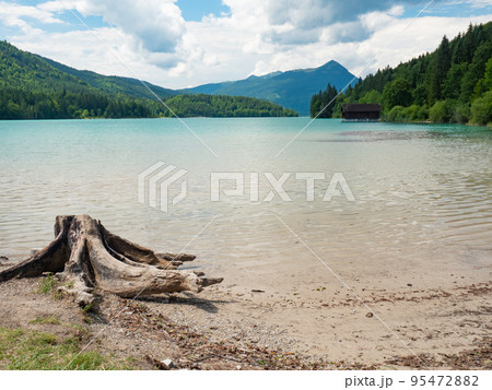 Beach with dead tree stump and old wooden boat house on opposite bank. 95472882