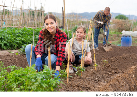 Woman gardener and little girl planting seedlings at a garden 95473568