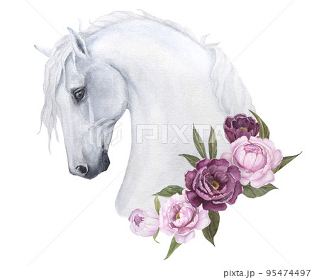 Watercolor illustration of a white horse with delicate peonies isolate 95474497