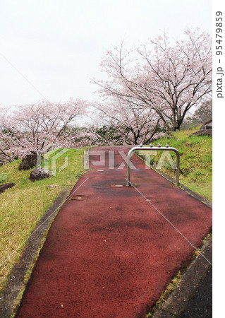 運動公園の道の風景 運動公園の道の風景 95479859