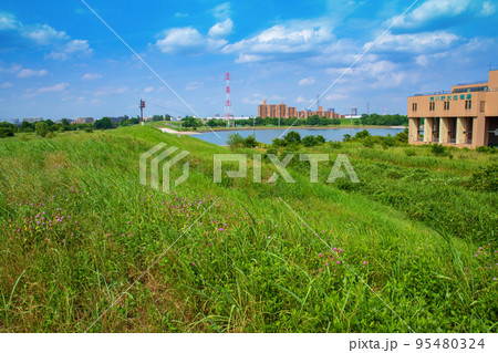 彩湖 湖畔の風景 初夏の季節 彩湖 湖畔の風景 初夏の季節 95480324