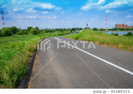 彩湖　湖畔の風景　初夏の季節 95480353
