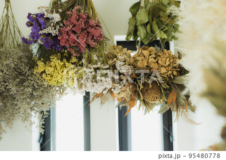 ドライフラワー 95480778