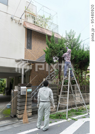 伐採作業をしている3階建ての家の外観 95480920