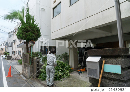 伐採作業をしている家の外観 伐採作業をしている家の外観 95480924