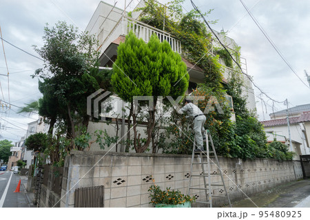 伐採作業をしている家の外観 95480925