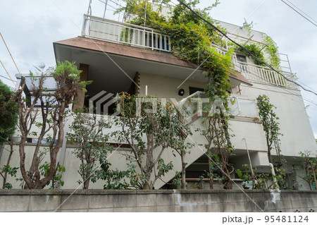 植木を伐採した家の外観 植木を伐採した家の外観 95481124