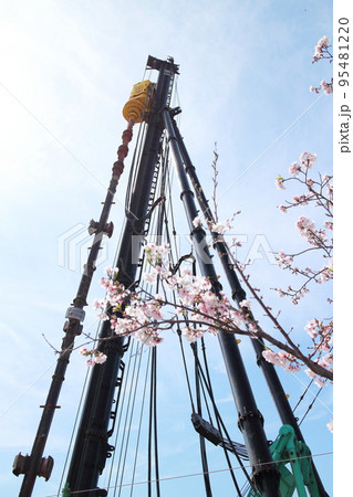 パイルドライバと桜の景色 95481220