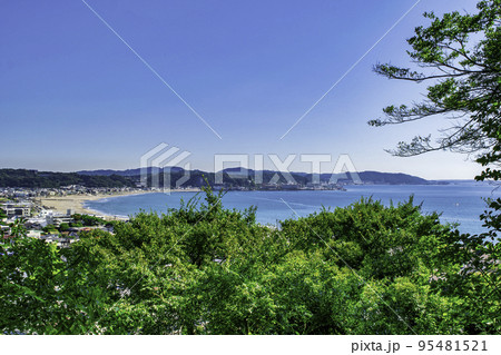 鎌倉　長谷寺（はせでら）　眺望散策路から由比ガ浜の眺め 95481521