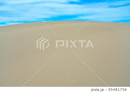 【山陰海岸国立公園】鳥取砂丘　馬の背と風紋5　鳥取県鳥取市 95481756