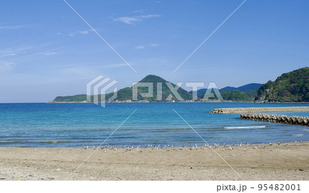 初秋の島根半島四十二浦 うみねこと千酌浦の風景 初秋の島根半島四十二浦 うみねこと千酌浦の風景 95482001