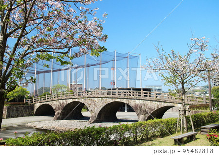 石橋記念公園の自然風景 石橋記念公園の自然風景 95482818
