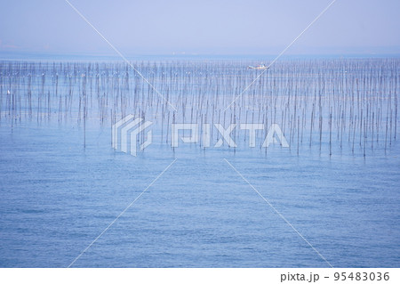 有明海の海苔の養殖（熊本県） 95483036