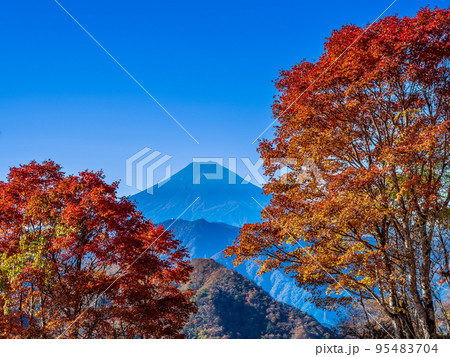 ハマイバ丸の紅葉からのぞく富士山 ハマイバ丸の紅葉からのぞく富士山 95483704