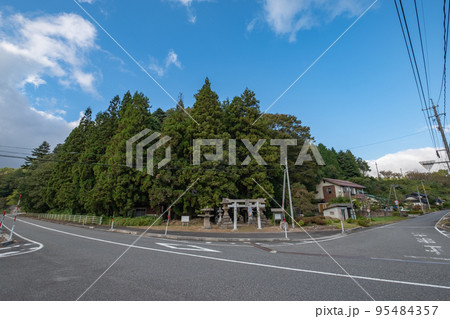 楽々福神社　鎮守の森　鳥取県日野郡日南町印賀 95484357