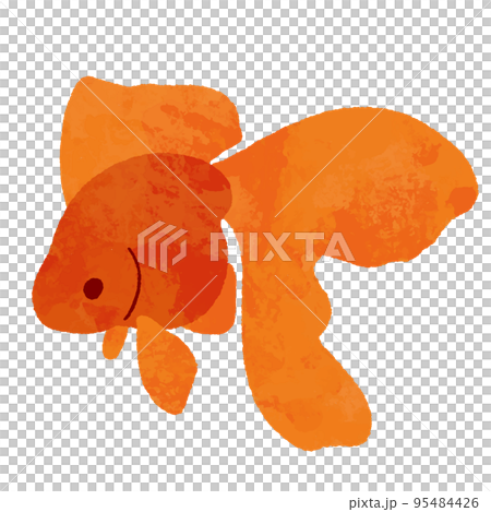 Red goldfish seen from the side in a watercolor style Red goldfish seen from the side in a watercolor style 95484426