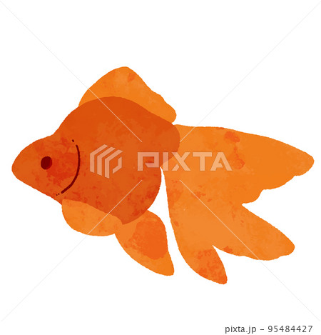 水彩風の横から見た赤色の金魚 95484427