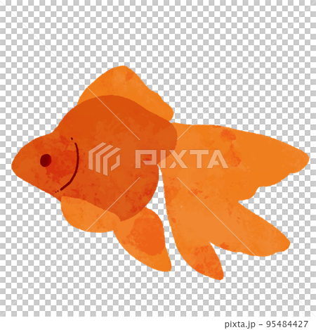 Red goldfish seen from the side in a watercolor style Red goldfish seen from the side in a watercolor style 95484427
