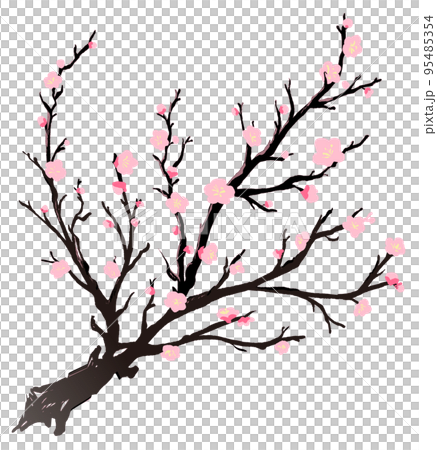 梅樹圖 95485354