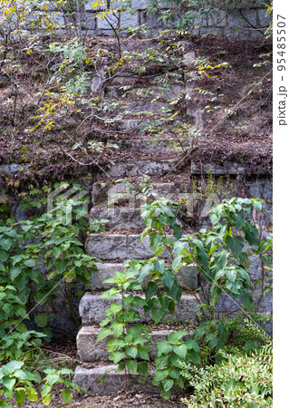 大久野島戦争遺跡 砲台跡 大久野島戦争遺跡 砲台跡 95485507