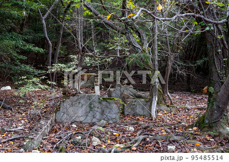大久野島戦争遺跡 砲台跡 大久野島戦争遺跡 砲台跡 95485514