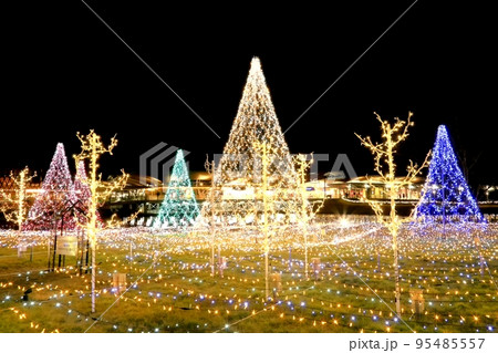 軽井沢イルミネーション 95485557