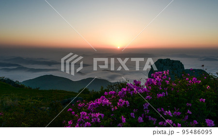 自然 風景 無等山 95486095