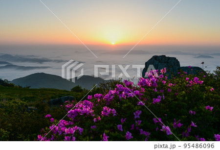 自然 風景 無等山 95486096