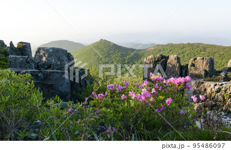 自然 風景 無等山 95486097