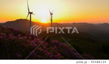 自然 風景 日の出 95486134