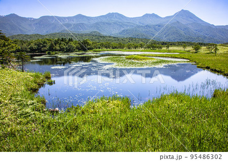 【北海道・知床】知床五胡の夏 7月 【北海道・知床】知床五胡の夏 7月 95486302