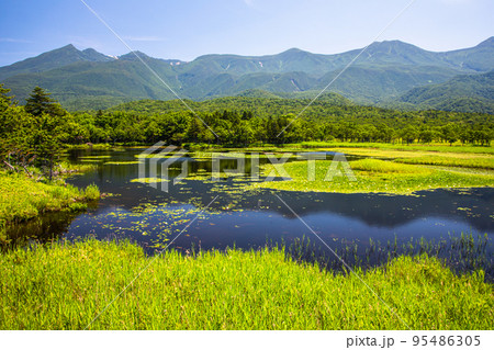 【北海道・知床】知床五胡の夏 7月 【北海道・知床】知床五胡の夏 7月 95486305