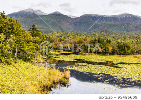 【北海道･知床】知床五胡の秋 10月 95486609