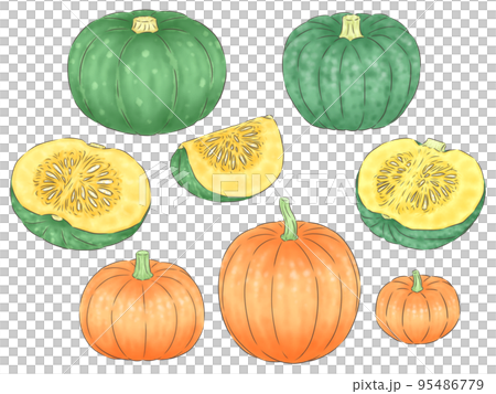 各種南瓜（1號線顏色） 95486779