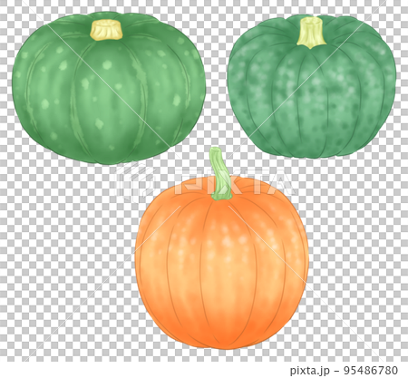 西洋カボチャと日本カボチャとハロウィンのオレンジ色のカボチャの