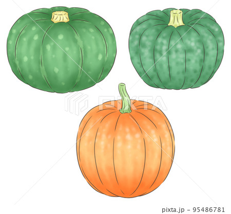 西洋カボチャと日本カボチャとハロウィンのオレンジ色のカボチャ（線1