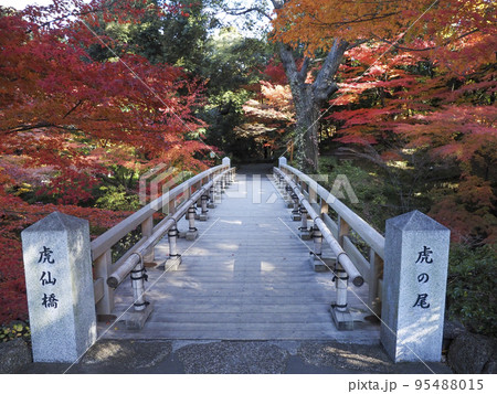 紅葉の徳川園 95488015