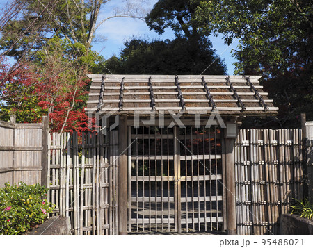 紅葉の徳川園 95488021
